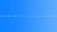 Forest Glade - Ambient, Birds Sounds, Background, Sounds of birds 02 Sound Effect