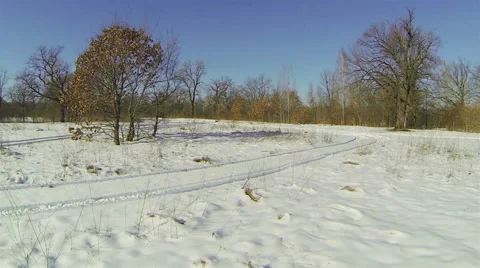 Forest glade covered with snow in the winter. Aerial view. Video stock 47159716