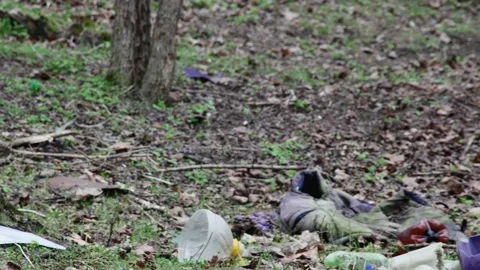 Forest glade full of garbage, the concept of taking care of the purity of na 库存影片 236190896