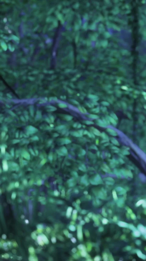 Forest glimmers under moonlight as shadows dance among lush greenery Stock Footage 334245989