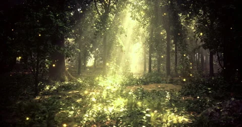 Forest glowing with light particles during early morning hours in nature Vídeo Stock 323962848