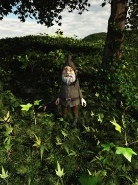 Forest Gnome Stock Illustration