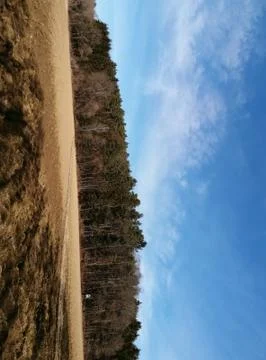 This forest going upper other HILL Foto stock
