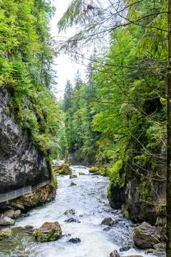 Forest Gorge River Flowing Through Cliffs Stock Photos