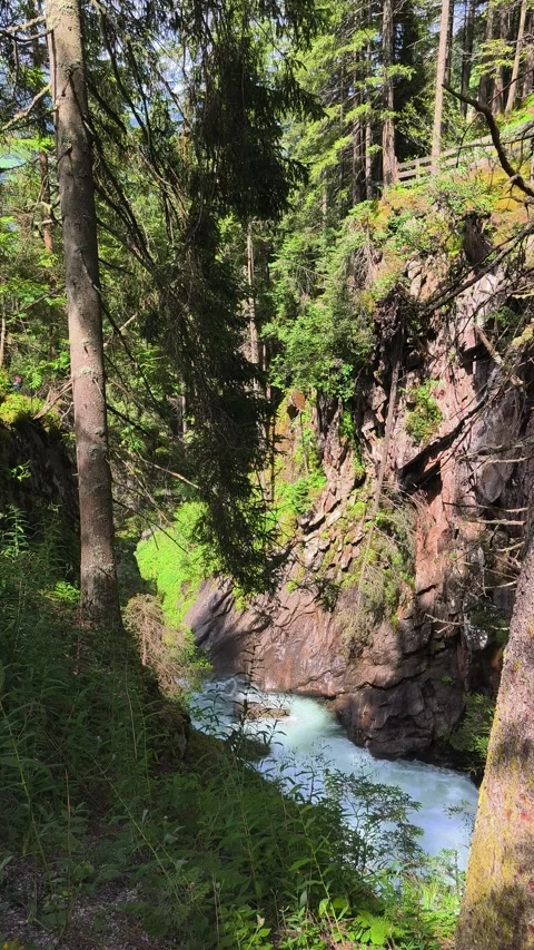 Forest Gorge Stream: Water Flowing Through Rocks Stock-Footage 313504310