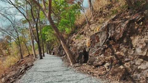 Forest gravel path along mountain hillside in tropical landscape, Scenic hiking Stock Footage 346217472