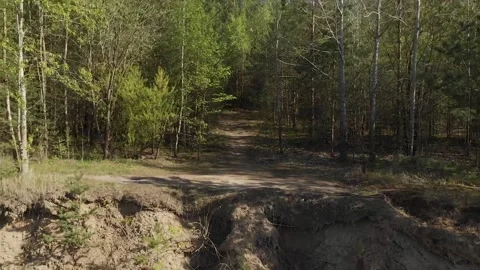 From the forest to green lake view. Stock Footage 131367884