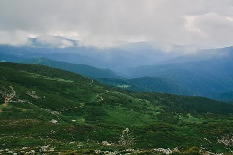 Forest. Green mountain forest landscape. Misty mountain forest. Fantastic for Stock Photos