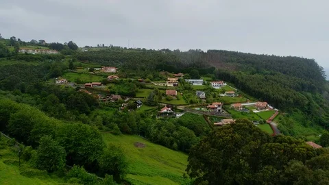 Forest. Green, Nature. Tree. Spain. Aerials. 4k. Drone Video stock 97148485
