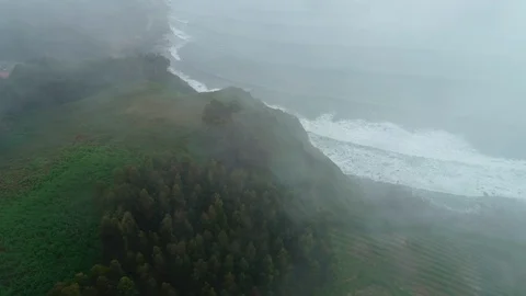 Forest. Green, Nature. Tree. Spain. Aerials. 4k. Drone Video stock 97148495