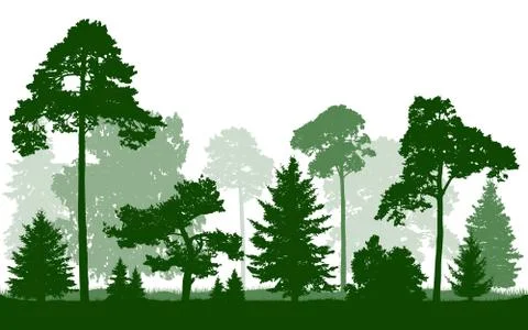 Forest green silhouette vector, isolated on white background. Trees, firs, ch Ilustración de archivo
