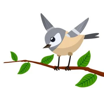 Forest grey bird sitting on a tree branch. 스톡 일러스트