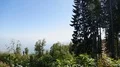 Forest growing on top of mountain against cityscape lying at its foot, contrast HD Footage