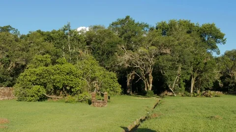 Forest grows at the borders of the Jesuit mission ruins Stock Footage 87723795