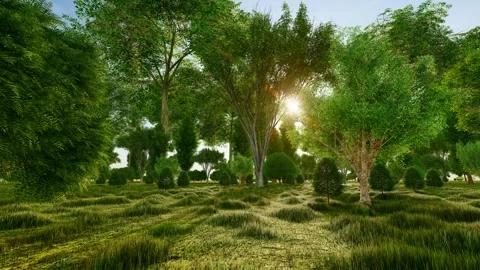 Forest growth animation on grassland Stock Footage 290994871