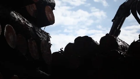 Forest harvester Stock Footage 77050289