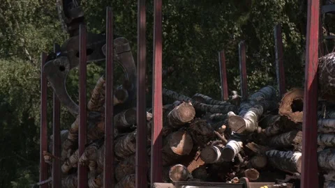 A forest harvester getting logs then trasferring on the truck. Video stock 321828585