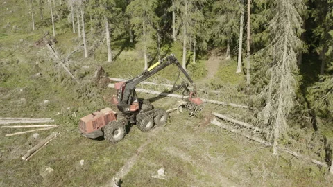 Forest harvester sawing fallen trees in forest after hurricane, aerial video. Stock Footage 195040150