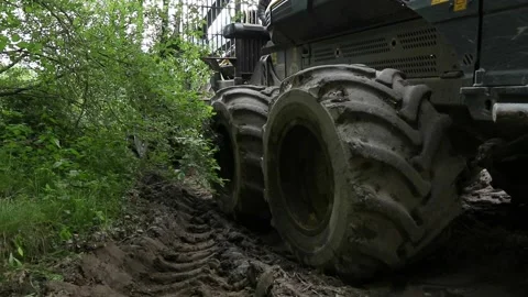 Forest harvester tires Stock Footage 213616083