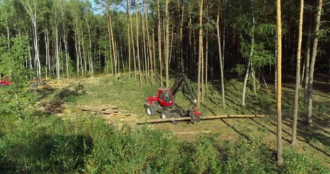 Forest harvester, tree harvester, logging equipment, logging equipment Vidéo 102037630