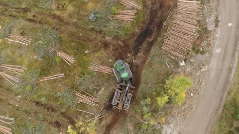 Forest harvester at work Видео 104444299