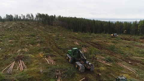 Forest harvester at work Видео 104444769