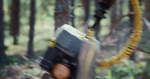 Forest harvester at work - processing of coniferous forest. Wood processing Stock Footage 157480837