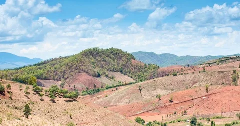 Forest that has been cleared for agricultural areas with blue sky, Time lapse Stock Footage 105871842