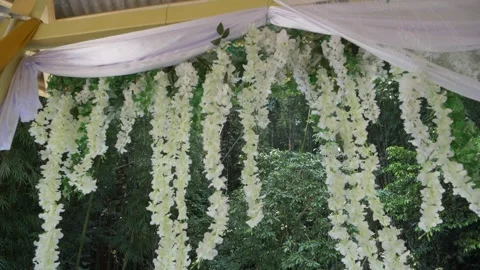 Forest Haven Stock Footage 271373565