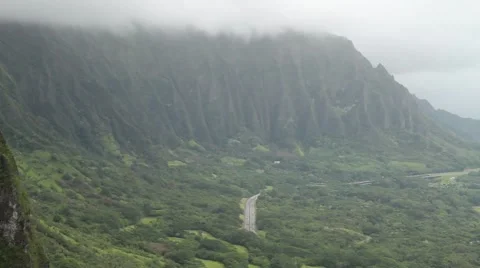 Forest in Hawaii Video stock 45920044