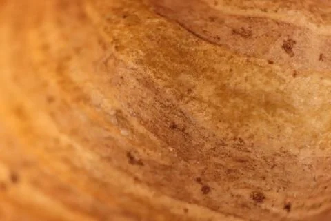 Forest Hazelnut Nut Texture. Macro Closeup. Natural Organic Background. Stock Photos