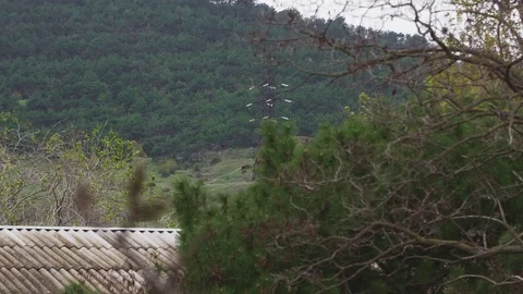 Forest high-voltage pillars behind the house near the forest Stock Footage 106728822