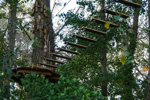 Forest high wire park Stock Photos