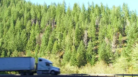 Forest Highway Stock-Footage 10911760