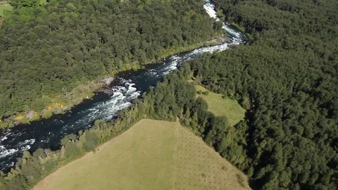 Forest highway river aerial view Stock Footage 77052916