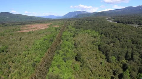 Forest highway view from aircraft Stock Footage 77052914