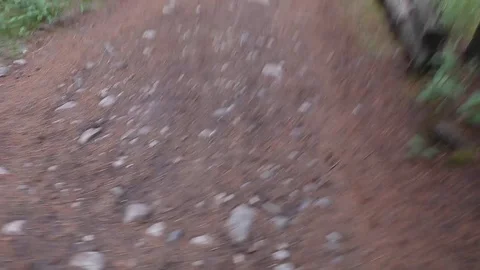 Forest hike POV Stock Footage 112365868