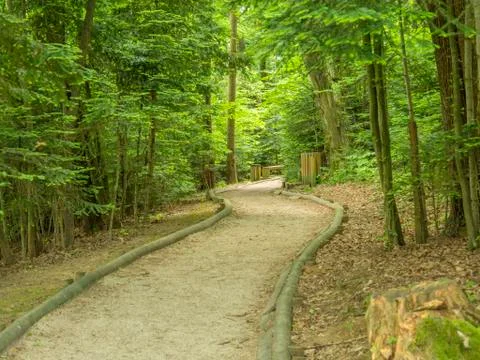 Forest hiking path Stock Photos