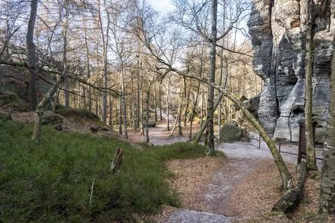 Forest hiking walking trail path with rocky cliffs Stock Photos