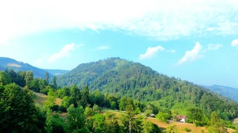 Forest hill backround Stock Footage 311996628