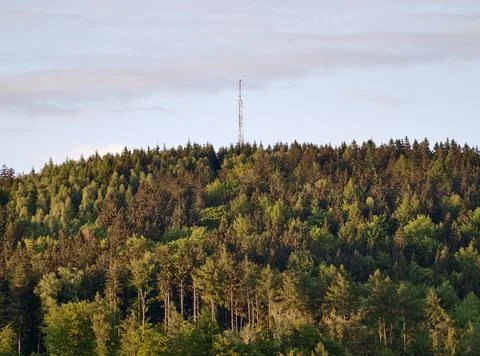 Forest hill with communication tower Stock Photos