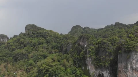 Forest on the hill in Krabi Vidéo 260430660