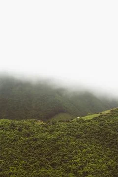 Forest Hill. Stock Photos