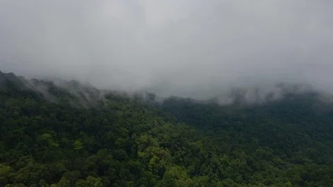 Forest Hill Through Mist and Clouds Aerial Shot Athirapally Vídeo Stock 112365702