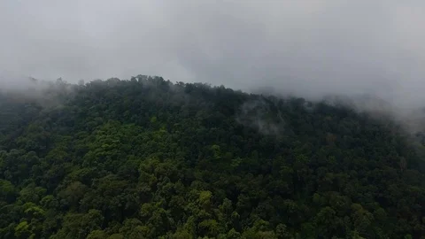 Forest Hill Through Mist and Clouds Aerial Shot Athirapally 動画素材 112365720