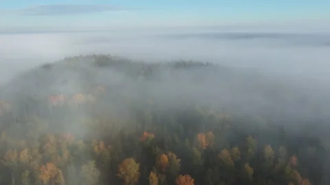 The forest hills are shrouded in thick fog. Autumn time. drone video Stock Footage 217691152