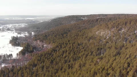 Forest Hills Stock Footage 147049589