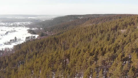 Forest Hills Stock Footage 147049672