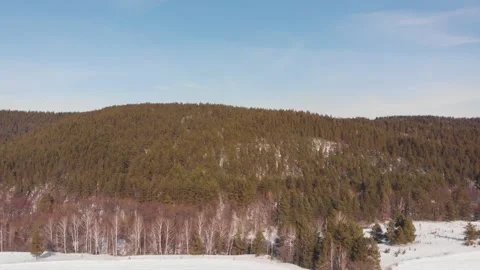 Forest Hills Stock Footage 147049696