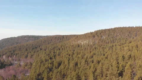 Forest Hills Stock Footage 147051030